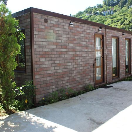 Modular House Green Zyland Y Batoemi Buitenkant foto